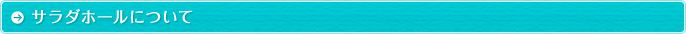 サラダホールについて